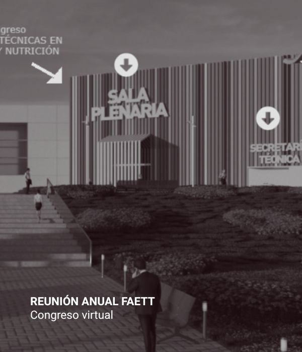 portfolio web (2)